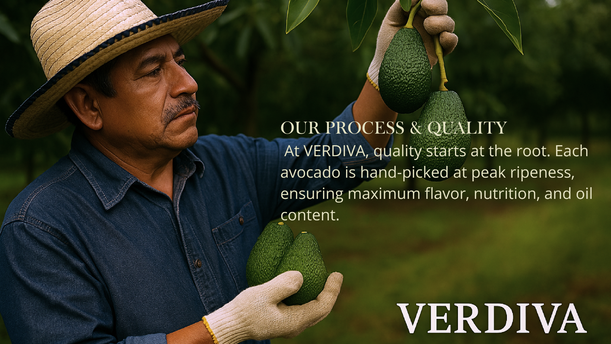 Agricultor en cosecha